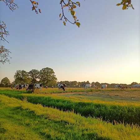 Bed And Breakfast, De Heidedijk Terborg
