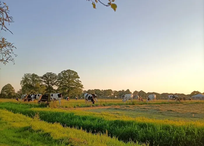 Bed&breakfast, De Heidedijk Terborg